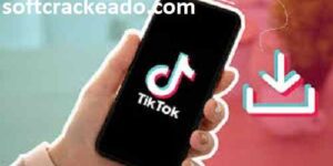 TikTok Audio Downloader